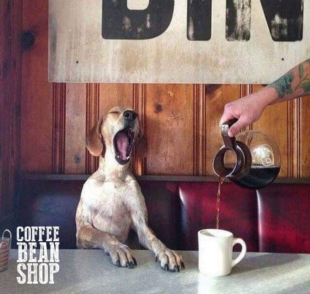 Happy Monday! Coffee makes your morning.